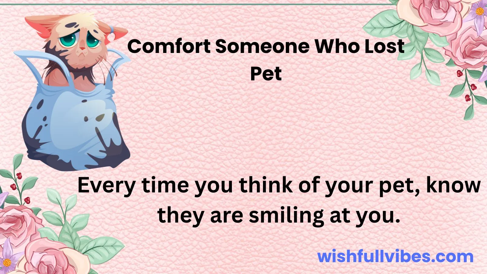 Comfort Someone Who Lost Pet