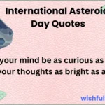 International Asteroid Day Quotes